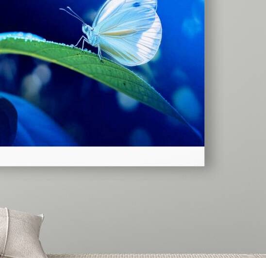 a photograph of a pristine white butterf PE JpeKv by  Abdel Halim shopping