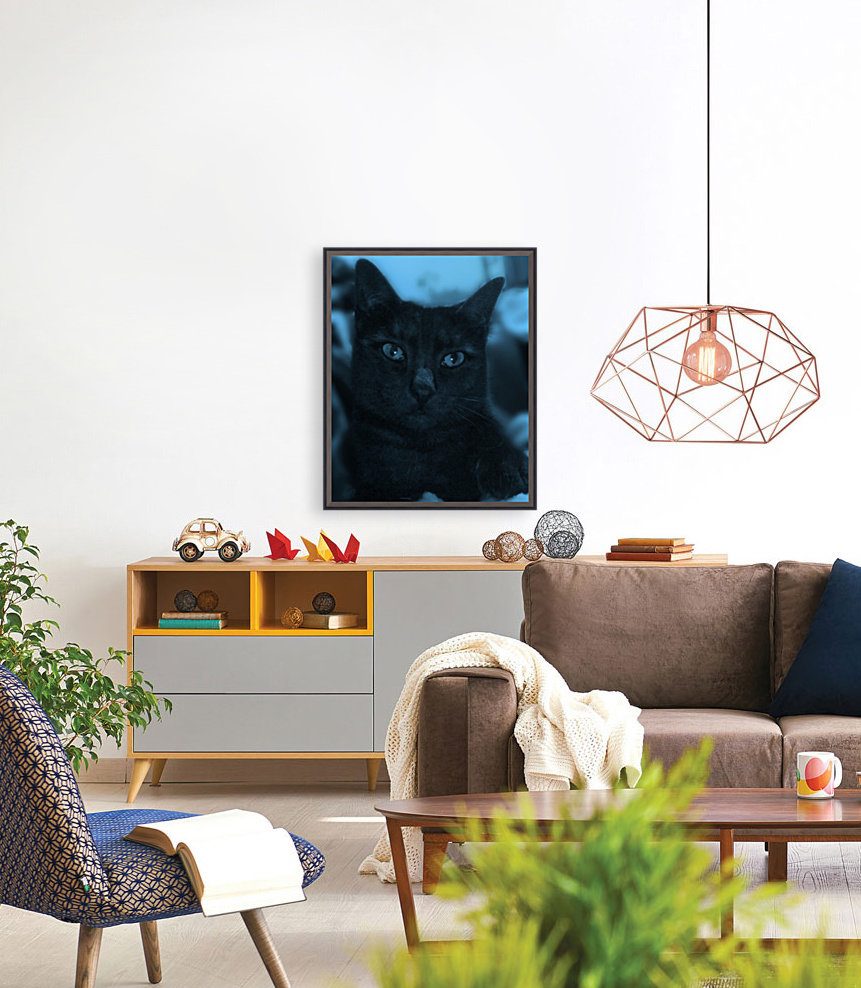 black cat in blue Reproduction