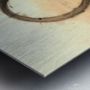 I1RQHDggd3p80lkILOU0  1  9hrhm 300dpi Metal print