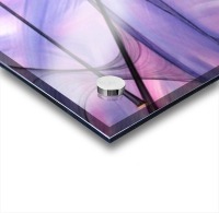 Copia di Web Acrylic print