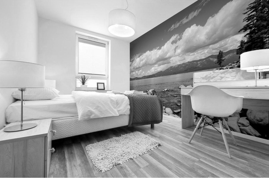 BW Out West 7 Mural print