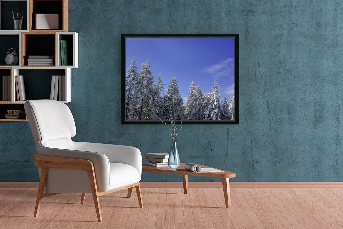 First Snow - Evergreen Trees Reproduction
