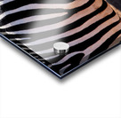 Zebra Mane Light & Shadow Acrylic print