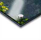 Window to Hanakapiai Falls Acrylic print