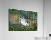 Lower Ho’opi’i Falls Acrylic Print