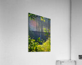 Window to Hanakapiai Falls Acrylic Print
