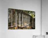 Ta Prohm Windows to Ruins - Cambodia Impression acrylique