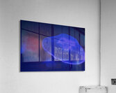 Soft Light Jellyfish Acrylic Print