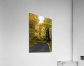 Roadway through Fall - Alpine Loop Utah Acrylic Print