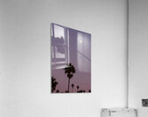 Palm Trees & Purple Skies Acrylic Print