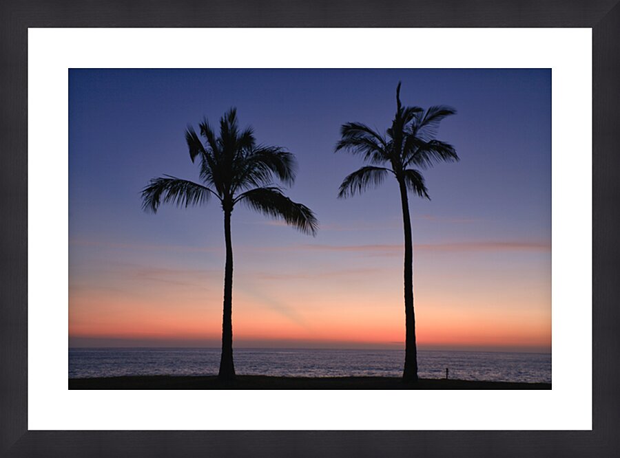 Twilight Palms Picture Frame print
