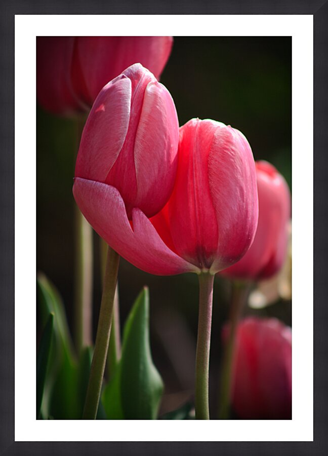 Lovers’ Embrace Picture Frame print