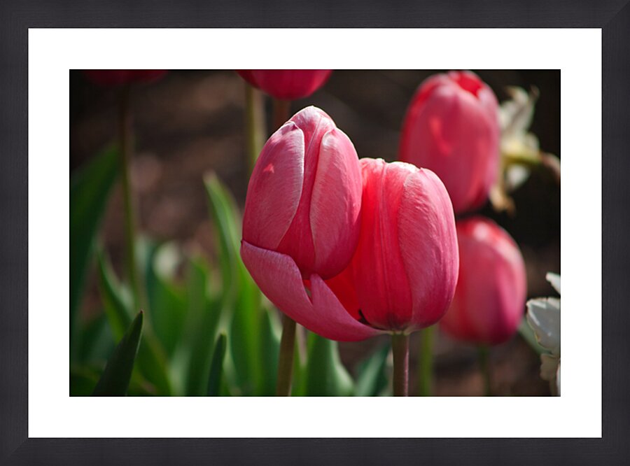Lovers’ Embrace Picture Frame print