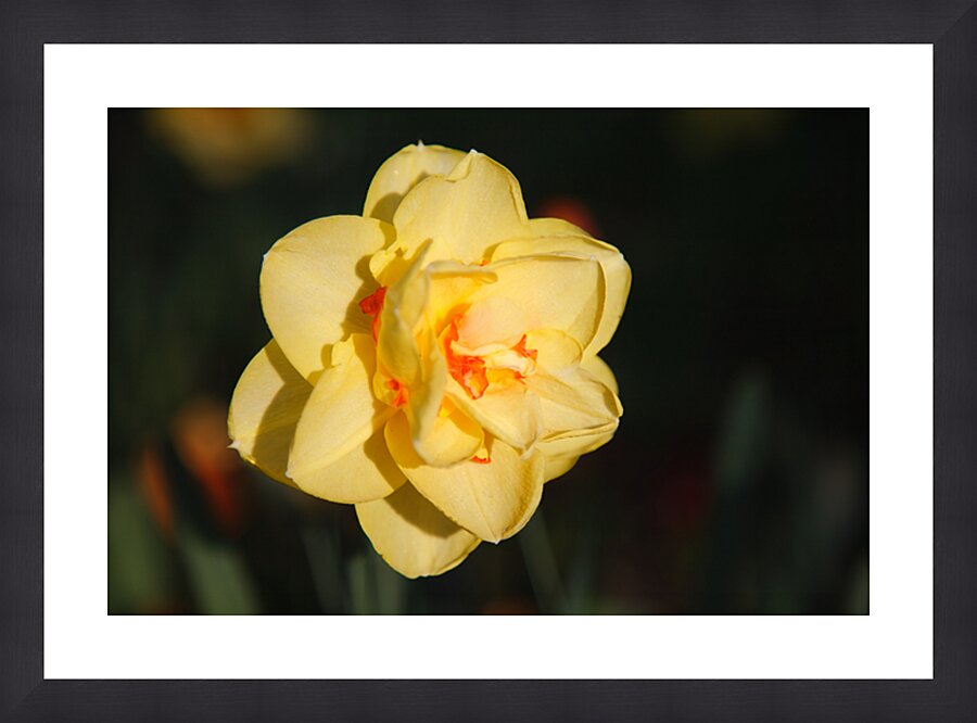 Grand Yellow Picture Frame print