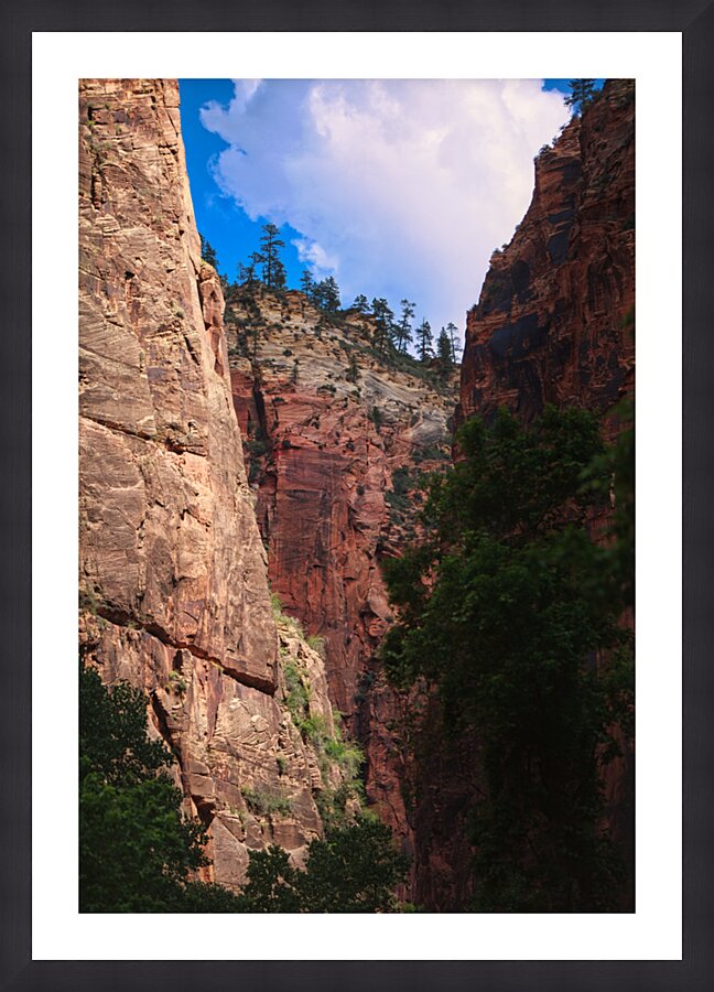 Cliffs in Zion Picture Frame print