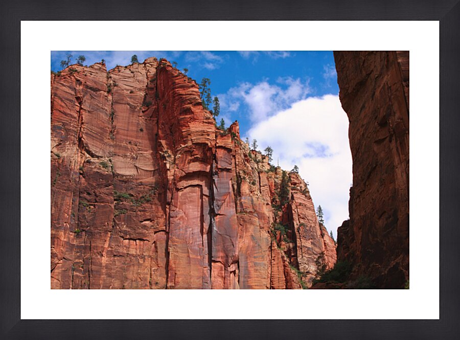 Cliffs in Zion Picture Frame print