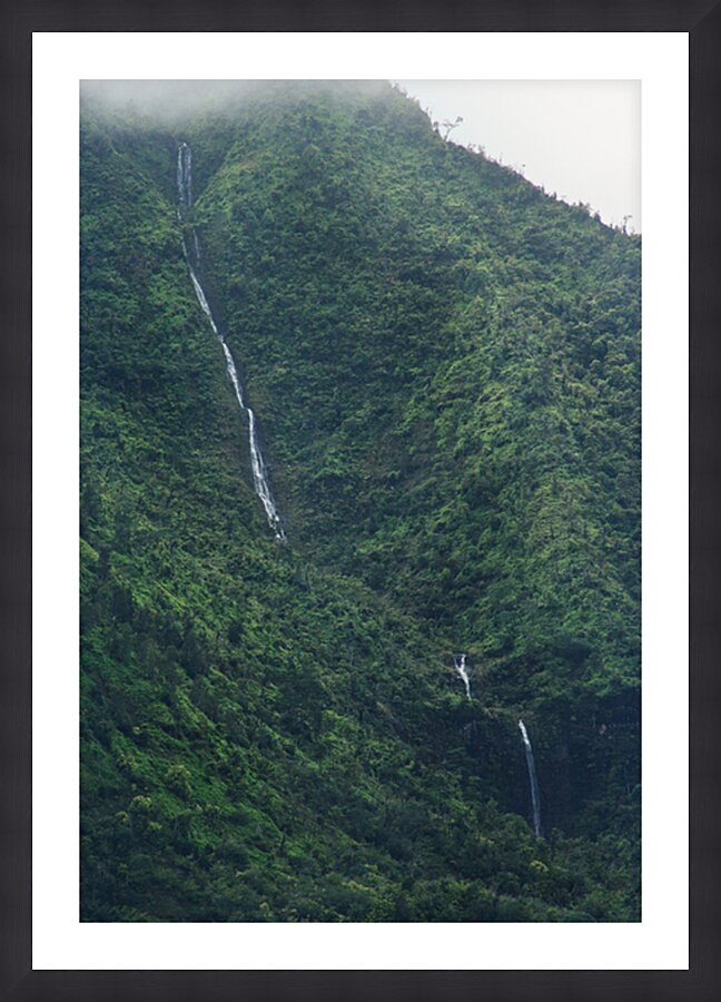 Kauai Mamalahoa Falls Closeup Picture Frame print