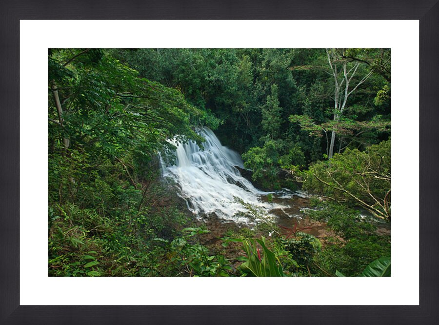 Lower Ho’opi’i Falls Picture Frame print