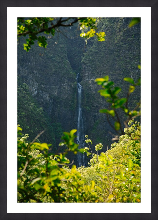 Window to Hanakapiai Falls Picture Frame print
