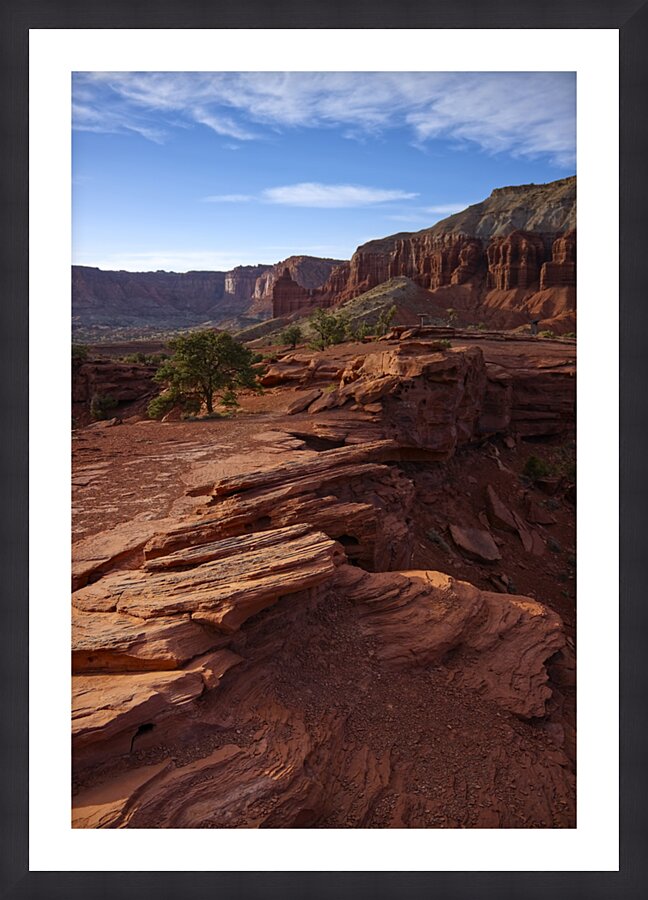 Textures of Capitol Reef Picture Frame print