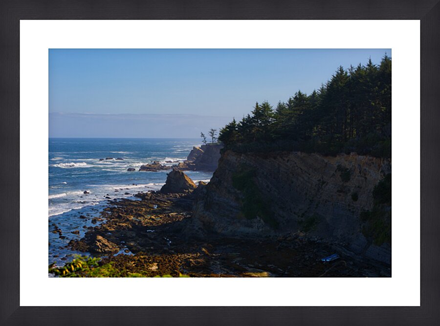 Cape Arago Light & Shadows Picture Frame print