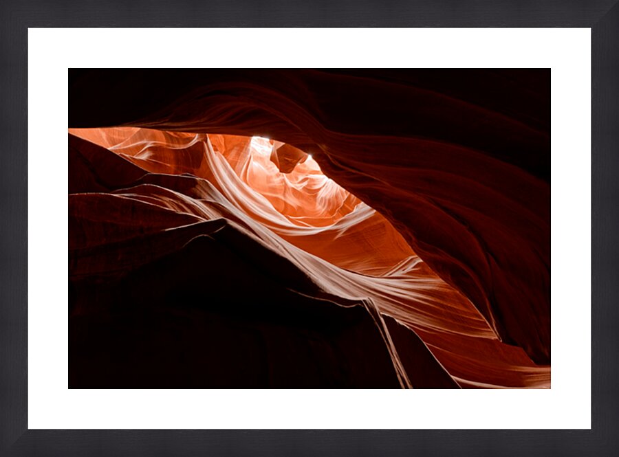 Predators Eye Picture Frame print