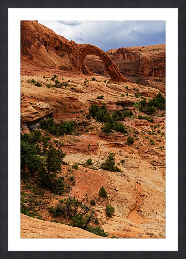 Corona Arch Picture Frame print