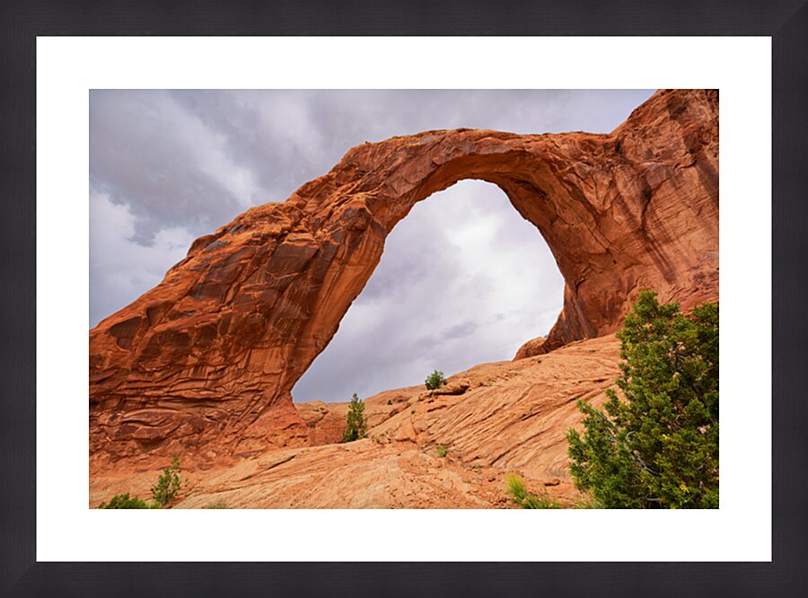 Below Corona Arch Picture Frame print