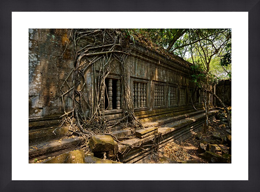 Ta Prohm Windows to Ruins - Cambodia Impression et Cadre photo