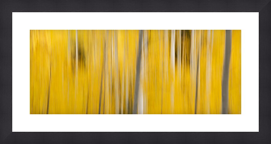 Abstract Fall Colors - Alpine Loop Utah Picture Frame print