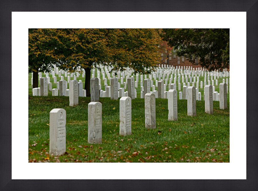 Lest We Forget - Washington DC Series Picture Frame print