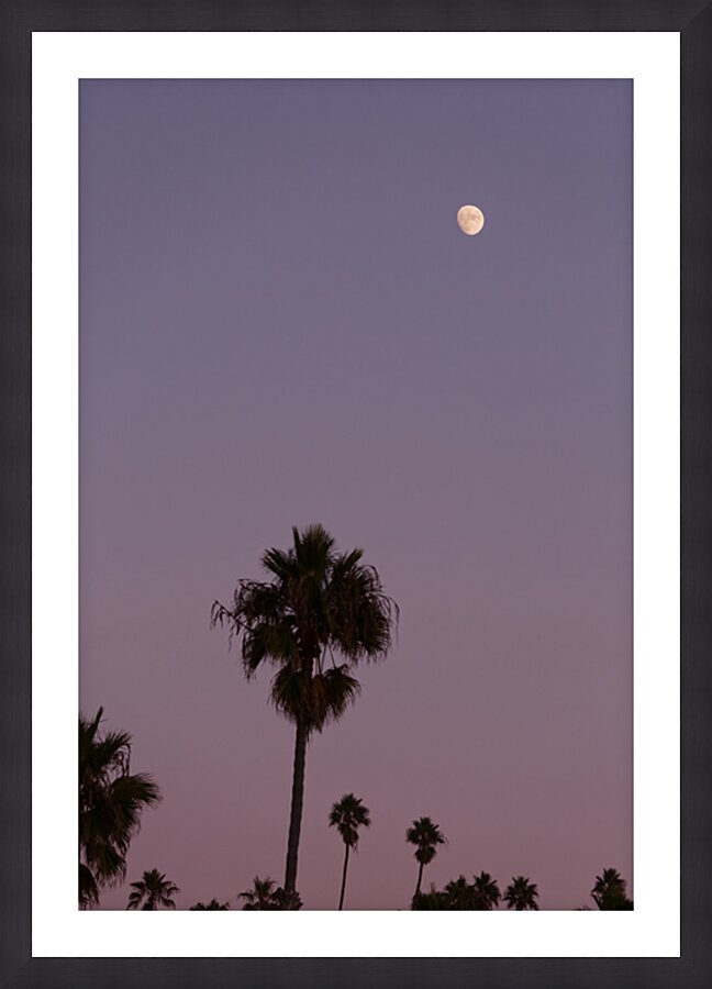 Palm Trees & Purple Skies Picture Frame print