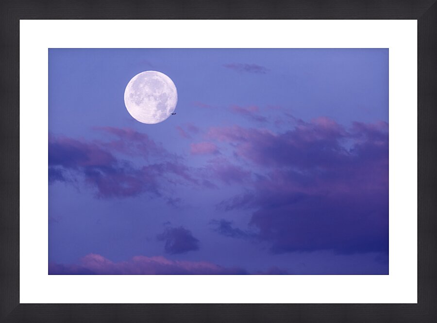 Fly Me to the Moon Picture Frame print