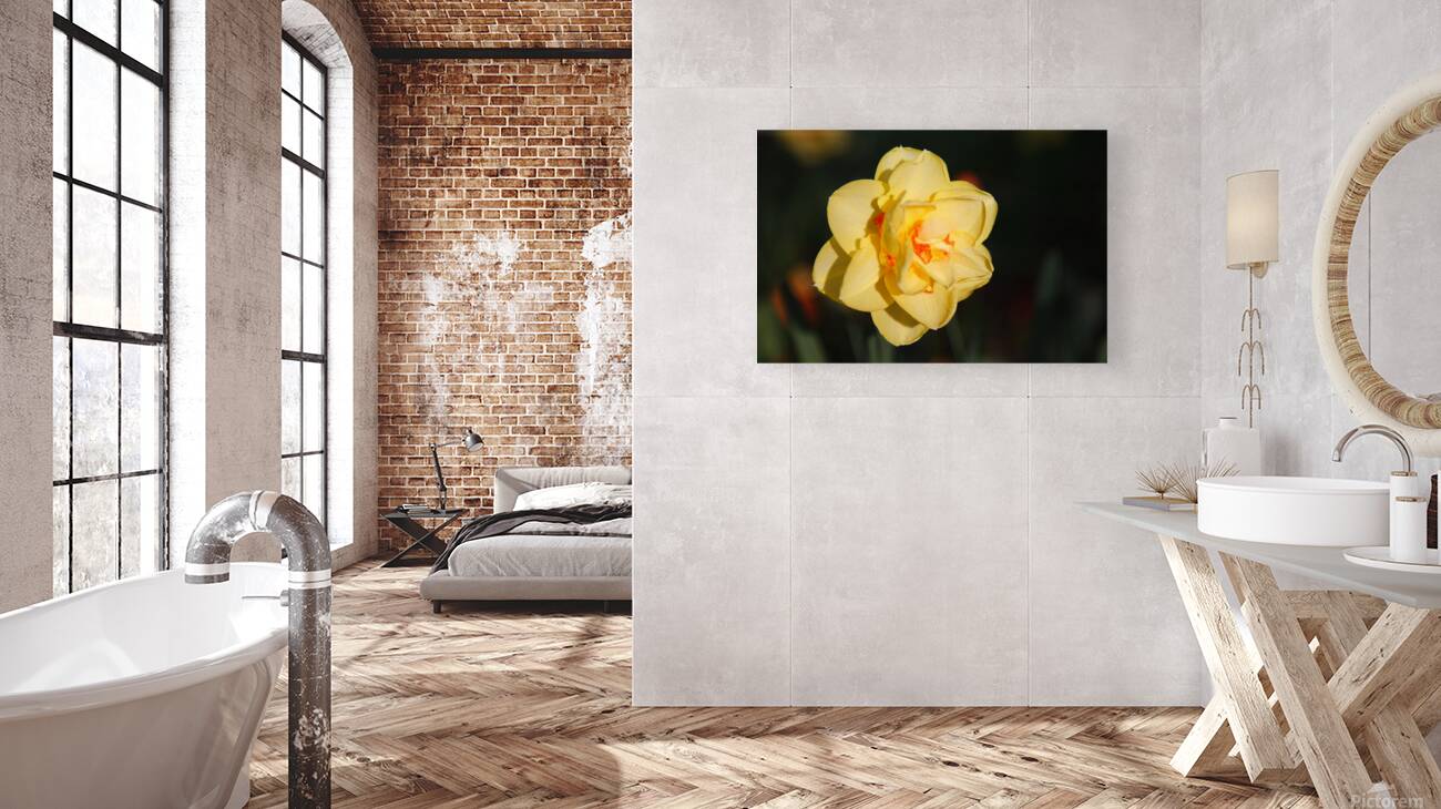 Grand Yellow Reproduction