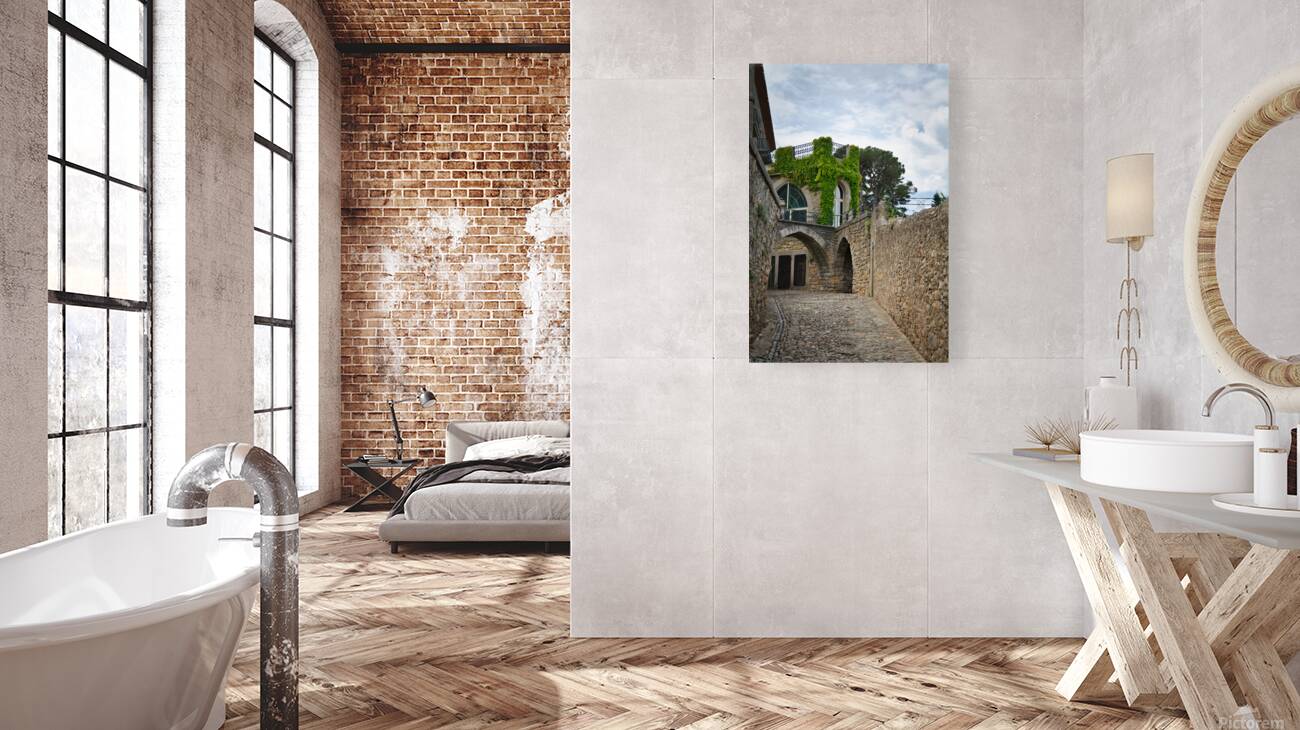 Carcassonne Charm Reproduction