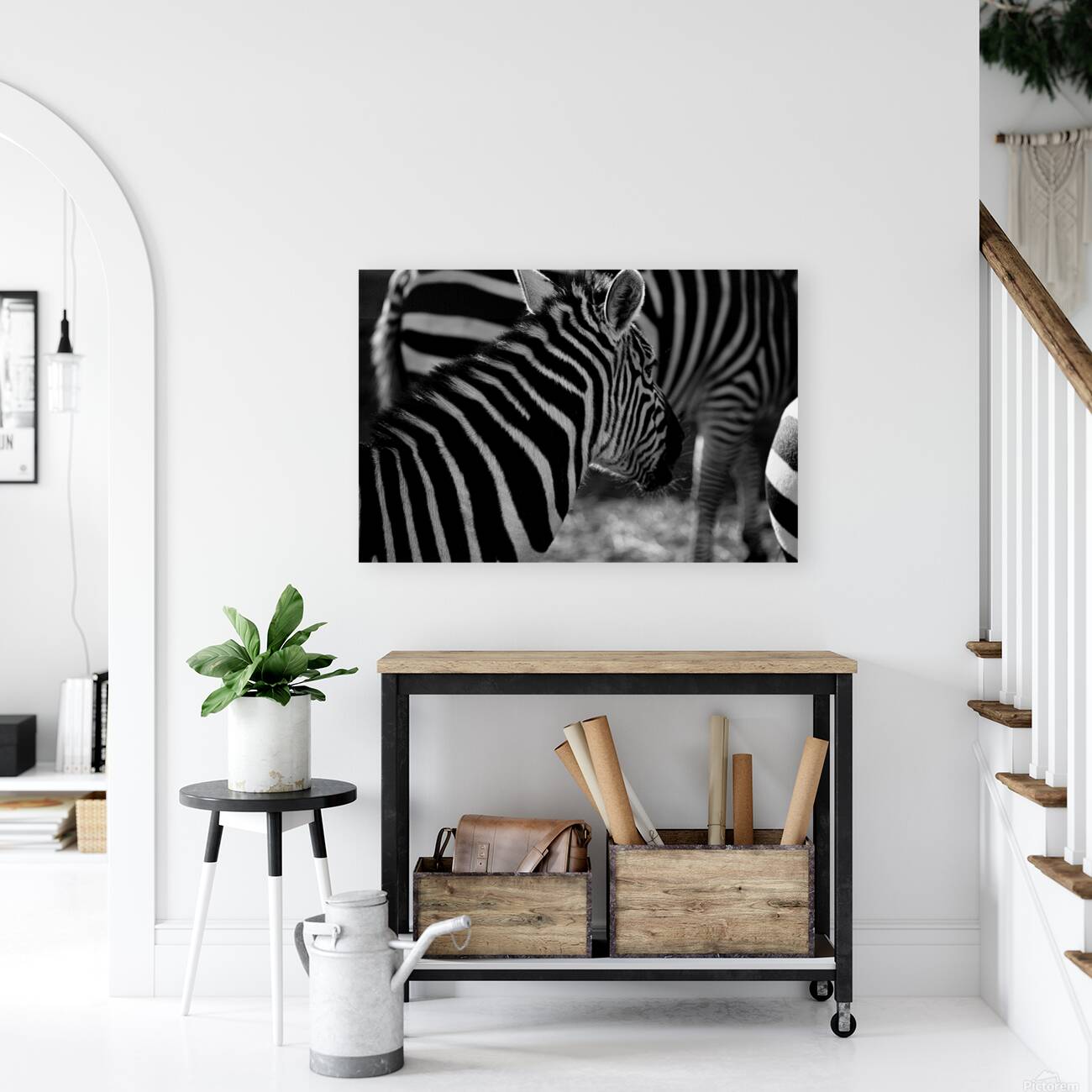 Zebra Close-up – B&W Reproduction
