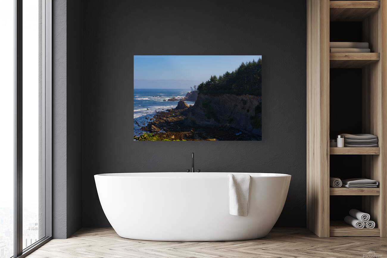 Cape Arago Light & Shadows Reproduction