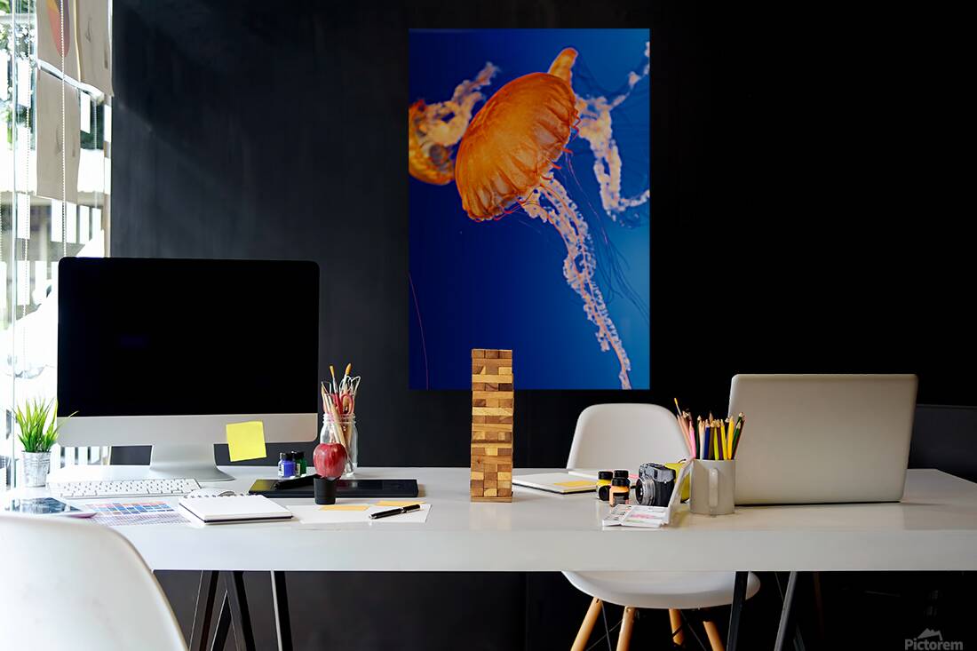 Jellyfish Nightlight Reproduction