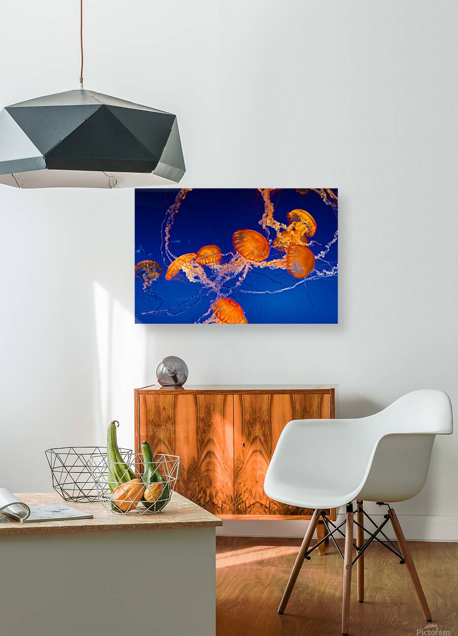 Jellyfish Nightlight Reproduction