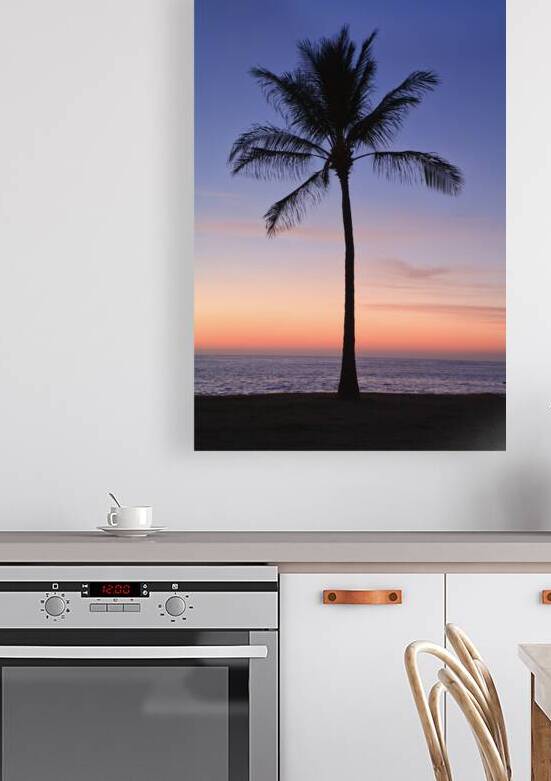 Lone Twilight Palm by Taylor Ehat Photography