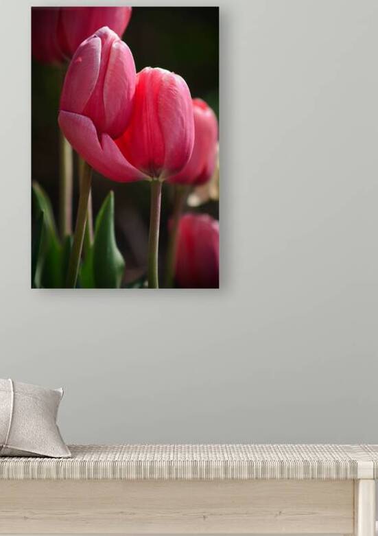 Lovers’ Embrace by Taylor Ehat Photography
