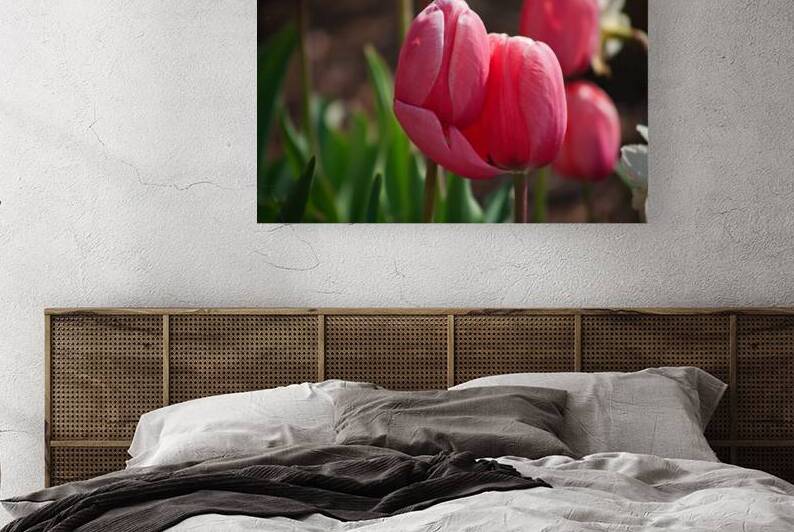 Lovers’ Embrace by Taylor Ehat Photography
