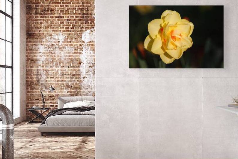 Grand Yellow by Taylor Ehat Photography