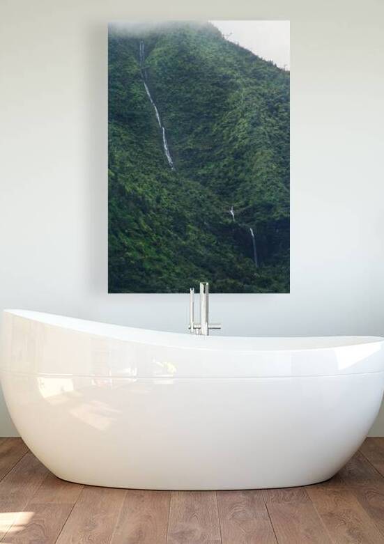 Kauai Mamalahoa Falls Closeup Reproduction