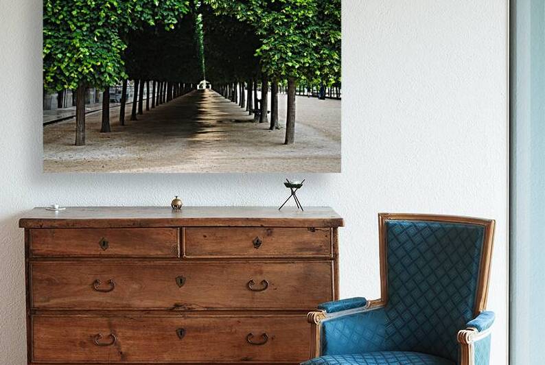 Hall of Trees at Palais Royal by Taylor Ehat Photography