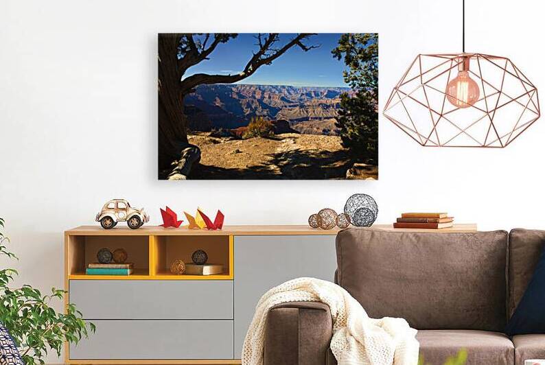 Peek into Grand Canyon by Taylor Ehat Photography