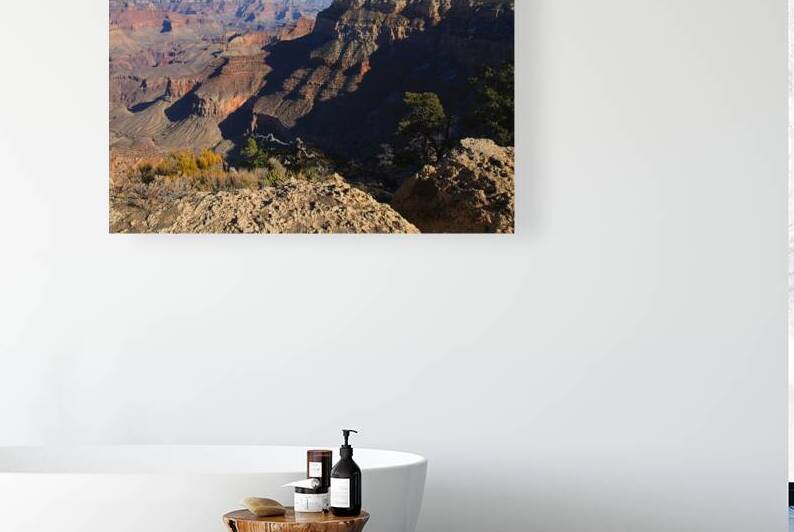East Overlook of Grand Canyon  by Taylor Ehat Photography