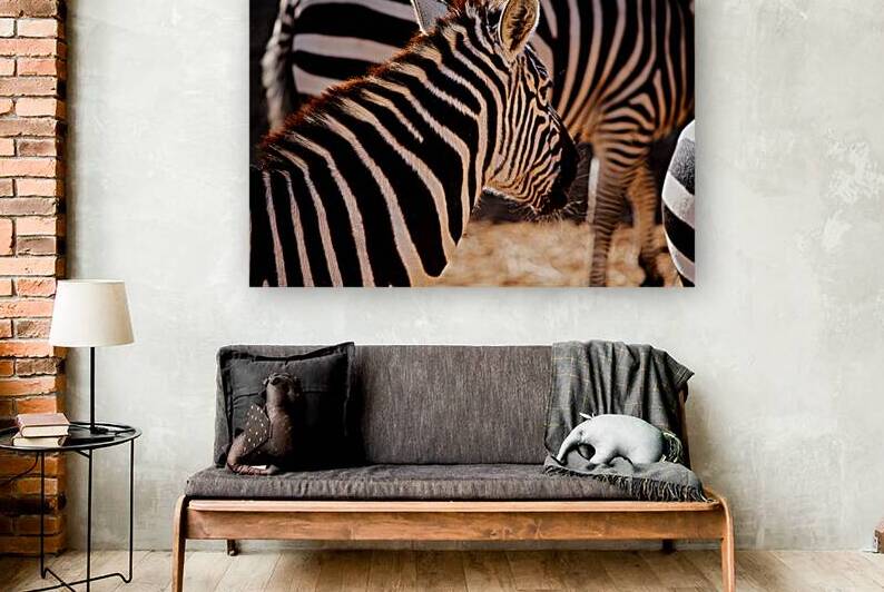 Zebra Close-up by Taylor Ehat Photography