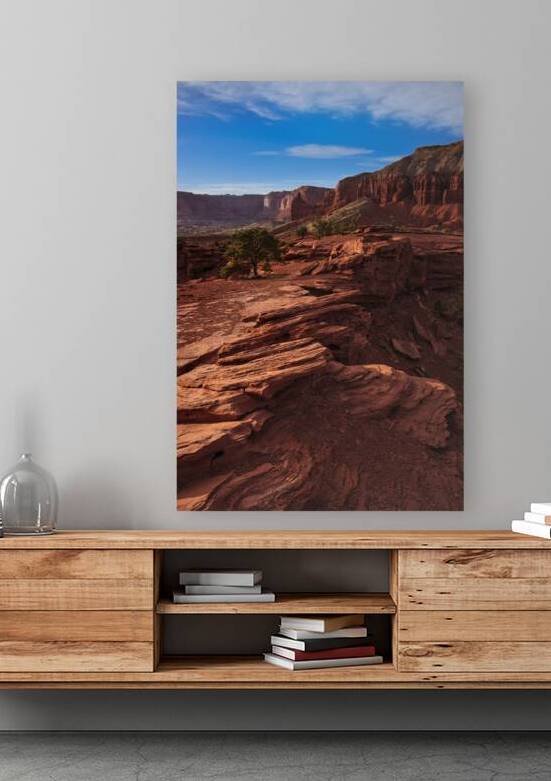 Textures of Capitol Reef Reproduction