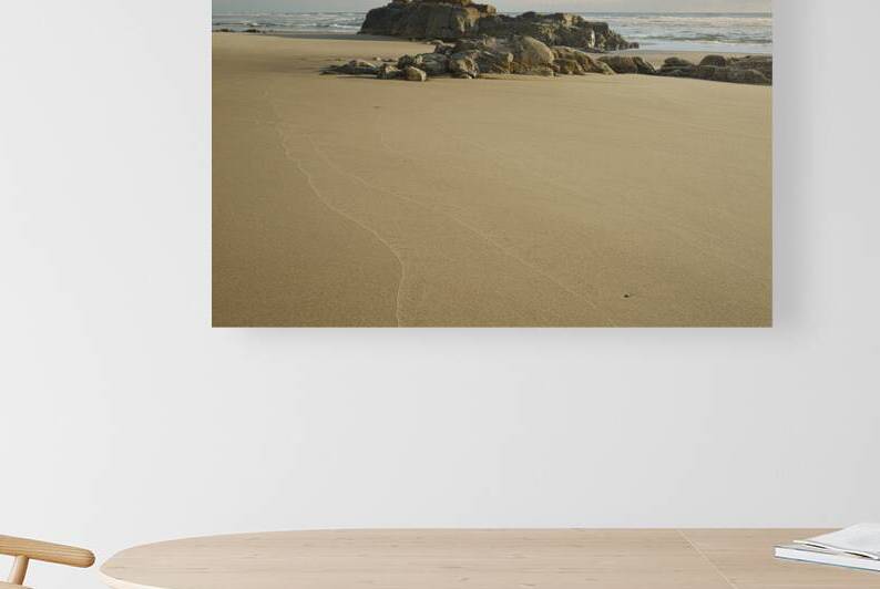 Smooth Swash Lines by Taylor Ehat Photography